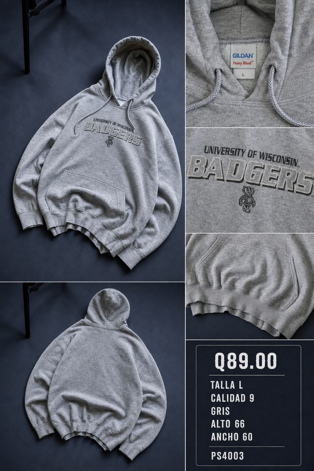 Hoodie ps4003
