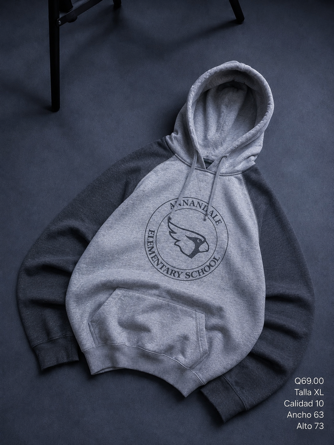 Hoodie ps1002