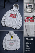 Hoodie ps2113
