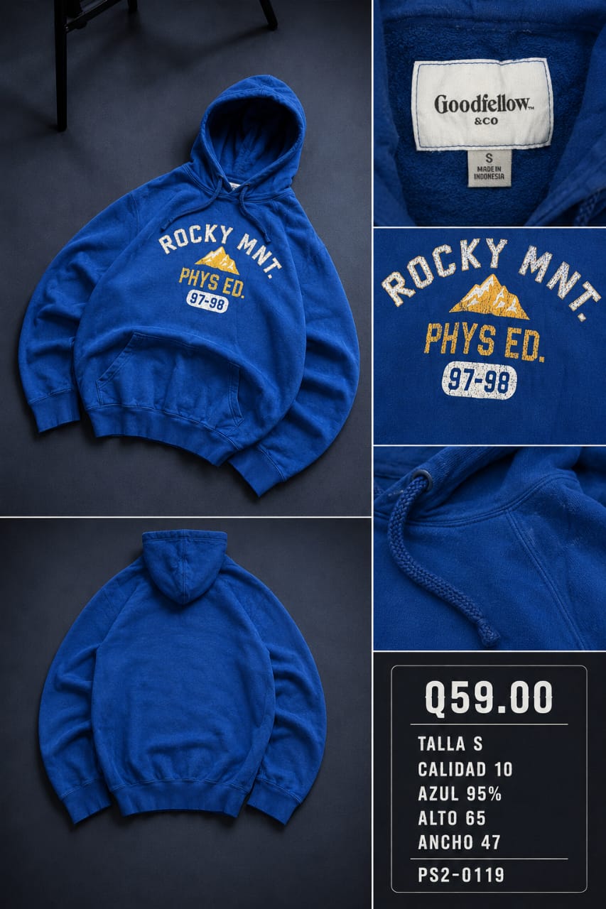 Hoodie ps2119