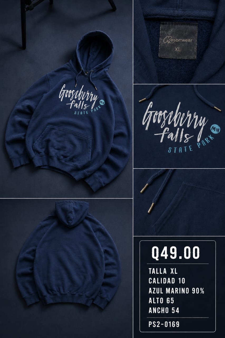 Hoodie ps2169